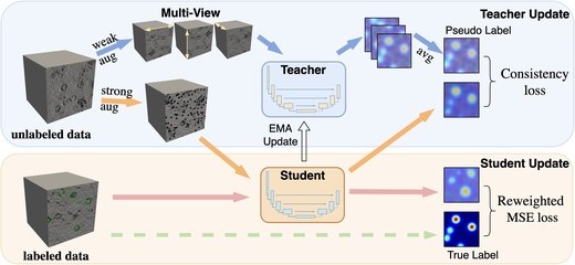 SemiETPicker teacher-student framework